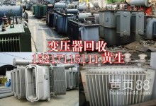 綠色循環的踐行者 東莞市橫瀝宇順再生資源回收廠